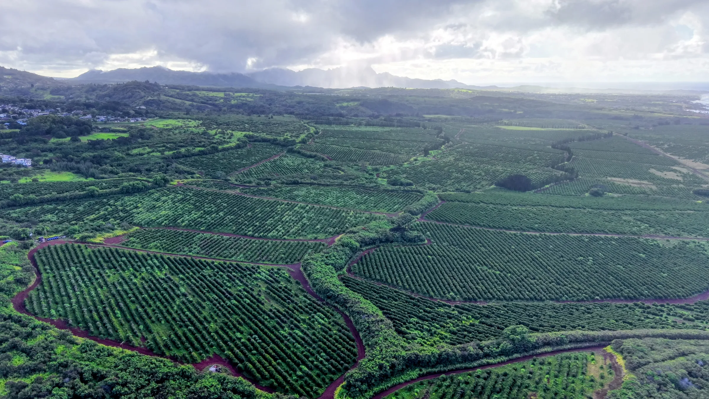 Aerial still — Kauai ridgeline